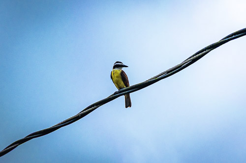 Costa Rica - May 2023